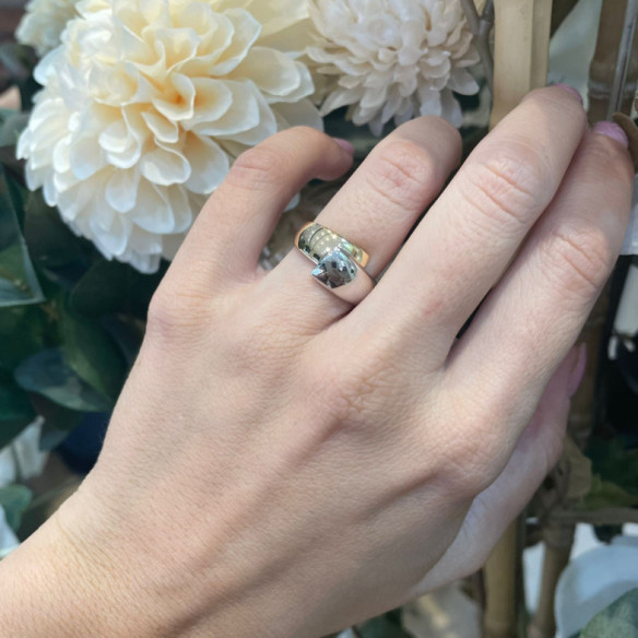 Gold Ring Elegance You and Me Flat Bicolor - Golden rings without stones