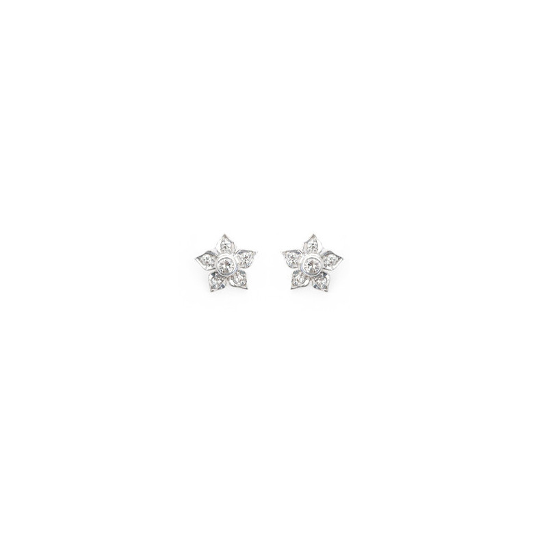 Mini earrings Details - Diamond Earrings